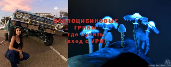 прущая мука Беломорск