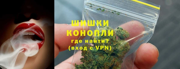 ГАЛЛЮЦИНОГЕННЫЕ ГРИБЫ Белокуриха
