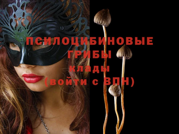 2c-b Белоозёрский