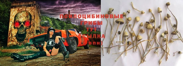 ГАЛЛЮЦИНОГЕННЫЕ ГРИБЫ Белокуриха